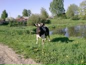 Фотография Колюховой Даши