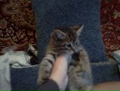 Фотография Горбачевой Алены