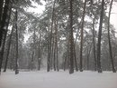 Олена Віцька фотография #18 (источник - https://vk.com/id163091324)