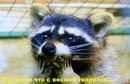 Фотография Константин Кирилов
