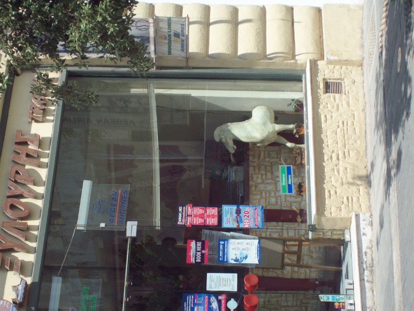 Дмитрий Горяев фотография #16