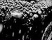 Дмитрий Сидоренко фотография #22 (источник - https://vk.com/id102488413)