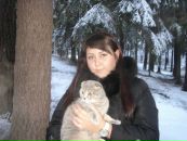 Фотография Комок Инны