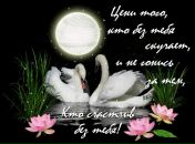 Дмитрий Иванов фотография #39 (источник - https://vk.com/id41387075)