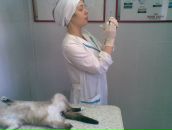 Фотография Несмачный Денис