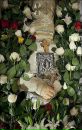Фотография Есипенко Милы