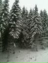 Віталік Іщук фотография #40 (источник - https://vk.com/id134970302)