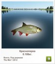 Діма Чейпеш фотография #17 (источник - https://vk.com/id160940576)