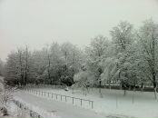 Николай Гу фотография #43 (источник - https://vk.com/id206031)