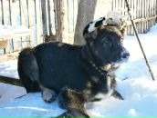 Фотография Баранов Андрей