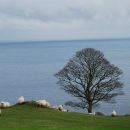 Андрій Тищенко фотография #48 (источник - https://vk.com/id2168476)