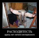 Ігор Вознюк фотография #27 (источник - https://vk.com/id168063002)
