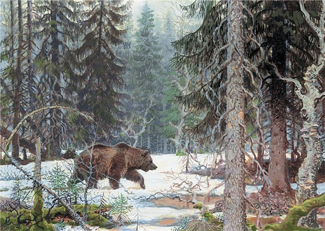 Виктор Плотников фотография #49