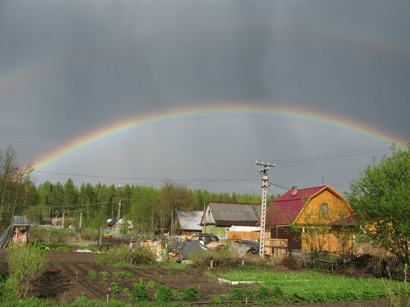 Леонид Никитин фотография #21