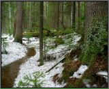 Фотография Дороги Серёги