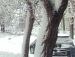 Ребекка Сабатіні фотография #14 (источник - https://vk.com/id139026115)