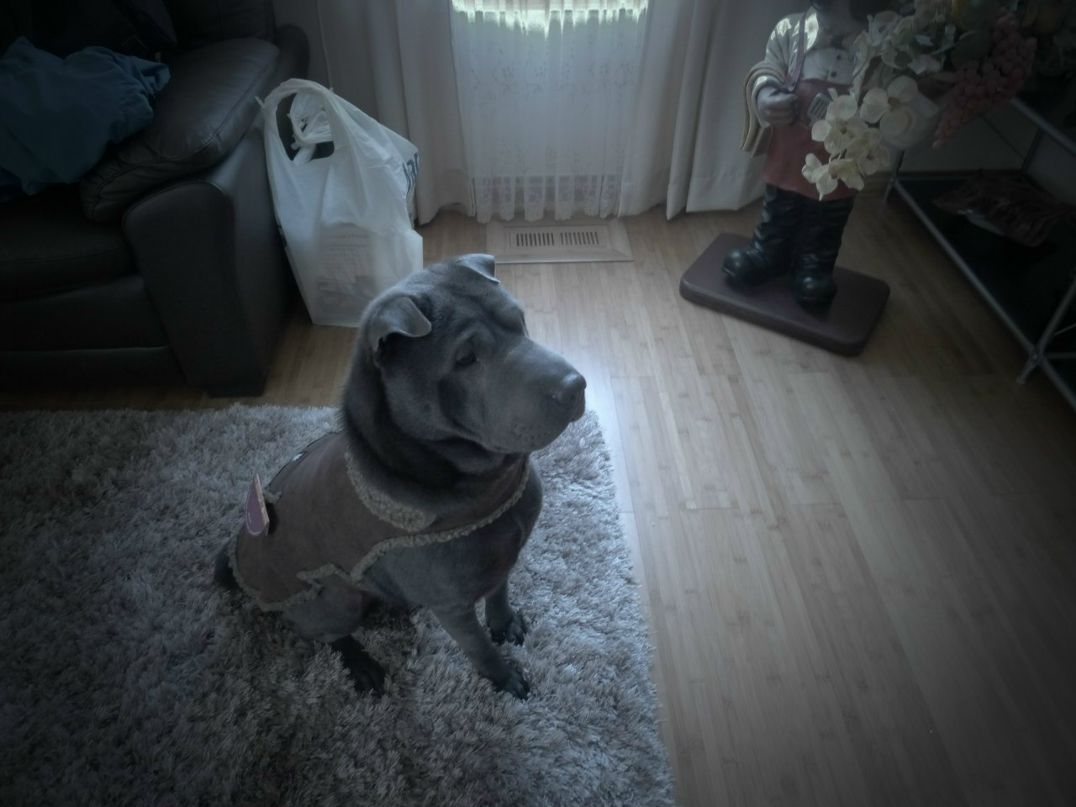 Tymur Newcomb фотография #32