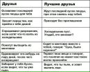 Фотография Павел Катанский