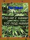 Максім Мудрик фотография #4 (источник - https://vk.com/id163402750)