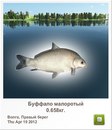 Міша Мельничук фотография #46 (источник - https://vk.com/id156132558)