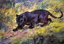 Фотография Мотчанова Дмитрия