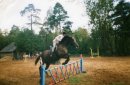 Фотография Воронцовой Елены