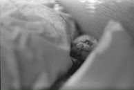 Фотография Шери Анны