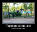 Тимур Гамбаров фотография #32 (источник - https://vk.com/id55117149)