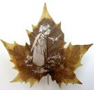 Фотография Соколовой Анны