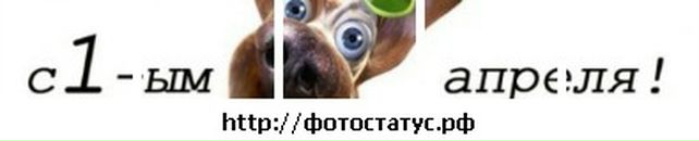 Ольга Гурнік фотография #23 (источник - https://vk.com/id112172004)