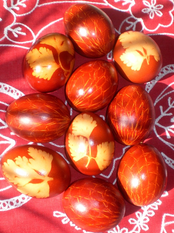 Станислава Грис фотография #18