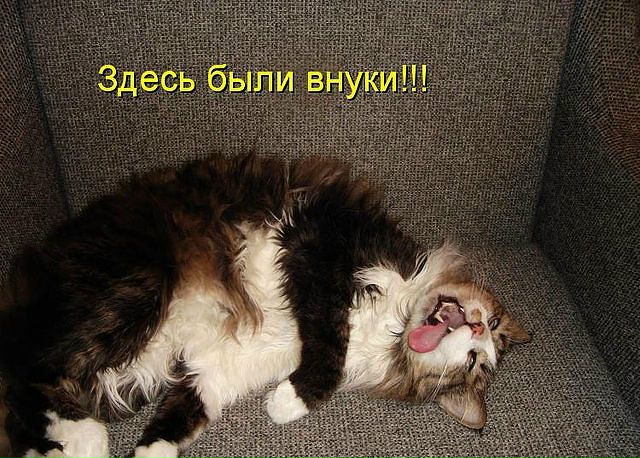 Ksusha Shevchenko фото №46