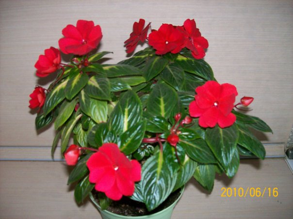 Оля Марченко фото №2