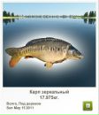 Роман Билашенко фотография #20 (источник - https://vk.com/id14407141)