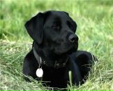 Фотография Ширкуновой Инны