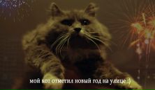Фотография Константин Федченко