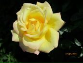 Надія Мовчан фотография #23 (источник - https://vk.com/id100976031)