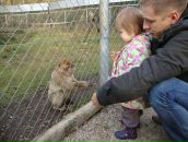 Людмила Гейнц фотография #28 (источник - https://vk.com/id97044397)