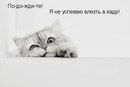 Ольга Адаменко фотография #36 (источник - https://vk.com/id161111409)