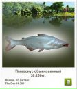 Сєрий Матвійшин фотография #26 (источник - https://vk.com/id111466338)