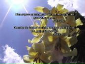 Андрій Ленько фотография #6 (источник - https://vk.com/id89376220)