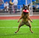 Фотография Гаптрахимова Григория