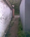 Шпіон Дружок фотография #11 (источник - https://vk.com/id50346685)