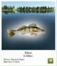 Віталій Пастрама фотография #15 (источник - https://vk.com/id34071171)