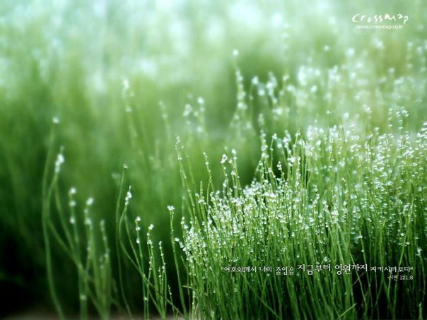 King Leon фото №2