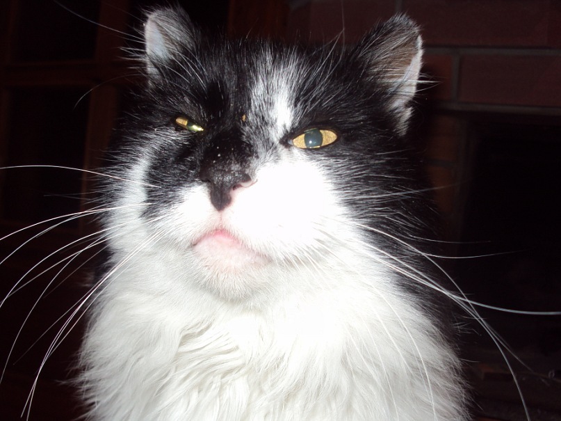 Сергей Руденко фотография #2