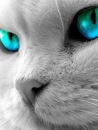Вікторія Литвин фотография #1