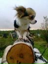 Фотография Сусловой Ольги