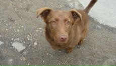 Dmitriy Galich фотография #26 (источник - https://vk.com/id2574196)