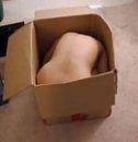 Сашуня Шустик фотография #33 (источник - https://vk.com/id15881839)